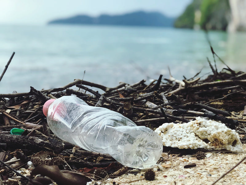 Reduce, Reuse, Recycle